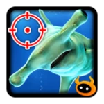 kill hammerhead shark android application logo